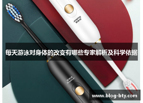 每天游泳对身体的改变有哪些专家解析及科学依据