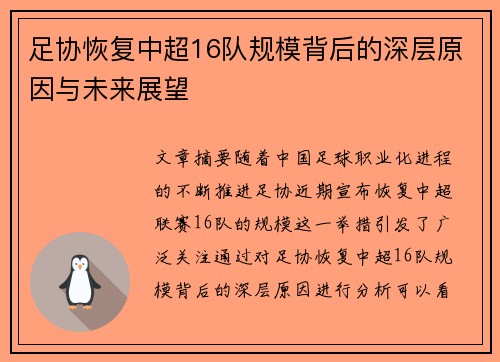 足协恢复中超16队规模背后的深层原因与未来展望