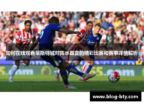 如何在线观看莱斯特城对阵水晶宫的精彩比赛和赛事详情解析
