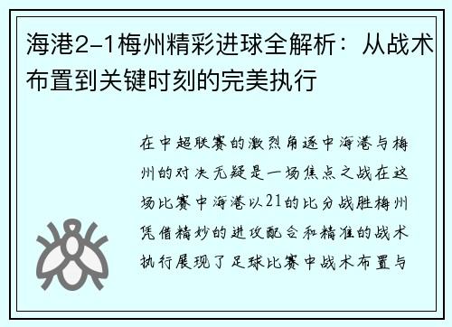 海港2-1梅州精彩进球全解析：从战术布置到关键时刻的完美执行